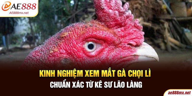 Kinh Nghiệm Xem Mắt Gà Chọi Lì Chuẩn Xác Từ Kê Sư Lão Làng