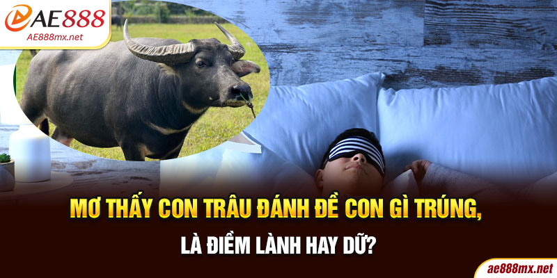 Mơ Thấy Con Trâu Đánh Đề Con Gì Trúng, Là Điềm Lành Hay Dữ?