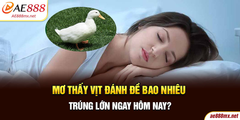 Mơ Thấy Vịt Đánh Đề Bao Nhiêu Trúng Lớn Ngay Hôm Nay?