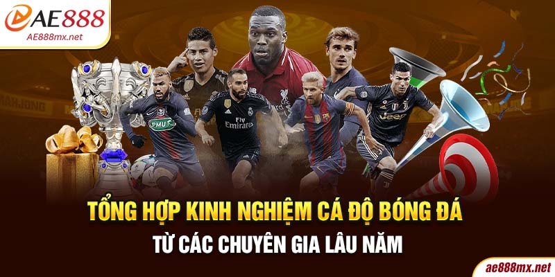 Tổng Hợp Kinh Nghiệm Cá Độ Bóng Đá Từ Các Chuyên Gia Lâu Năm